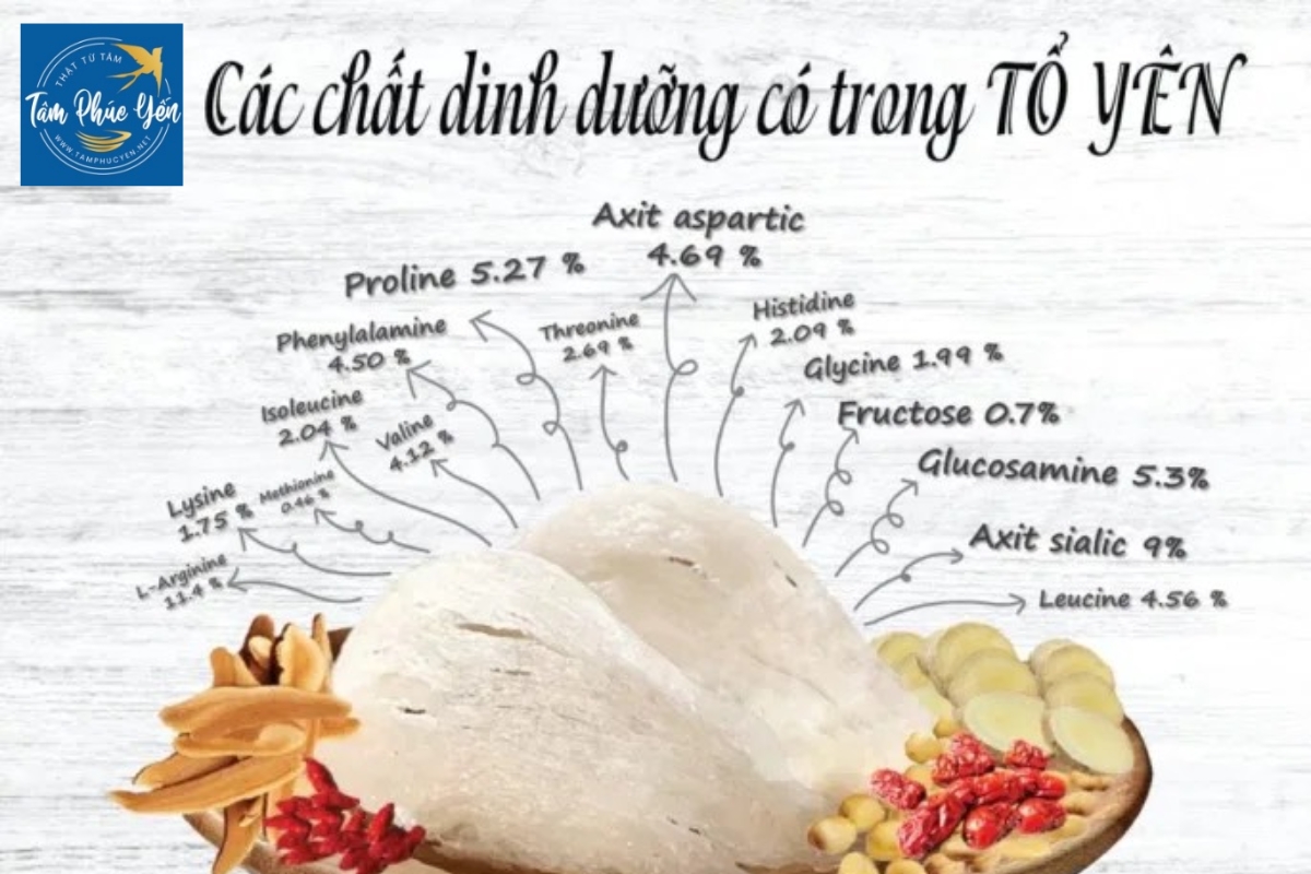 Yến sào có đến 31 nguyên tố dinh dưỡng khác nhau