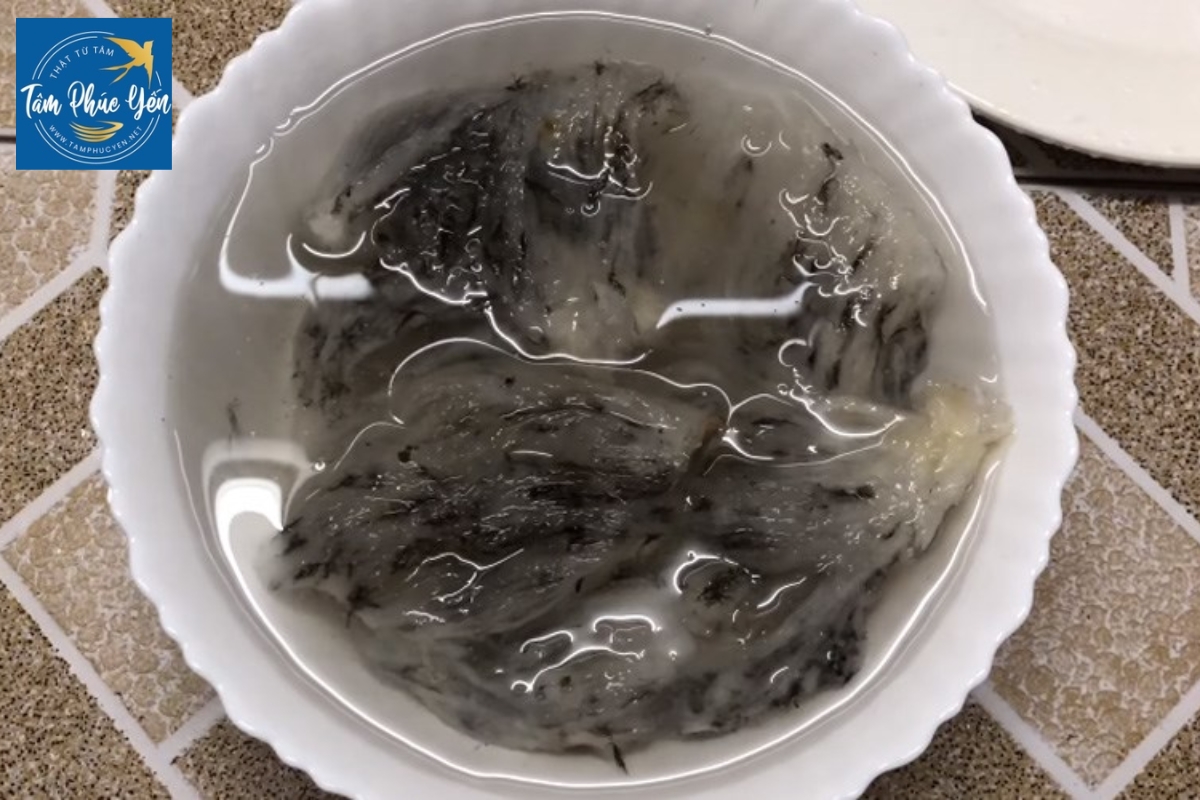 Ngâm và làm mềm tổ yến trước khi làm sạch