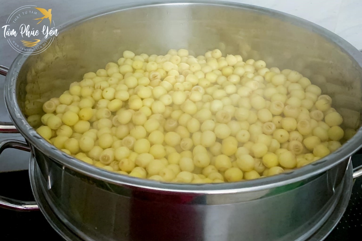 Luộc hạt sen trước khi chưng tổ yến